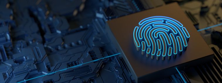 EMPRESA DE SEGURETAT INFORMÀTICA A GRANOLLERS
